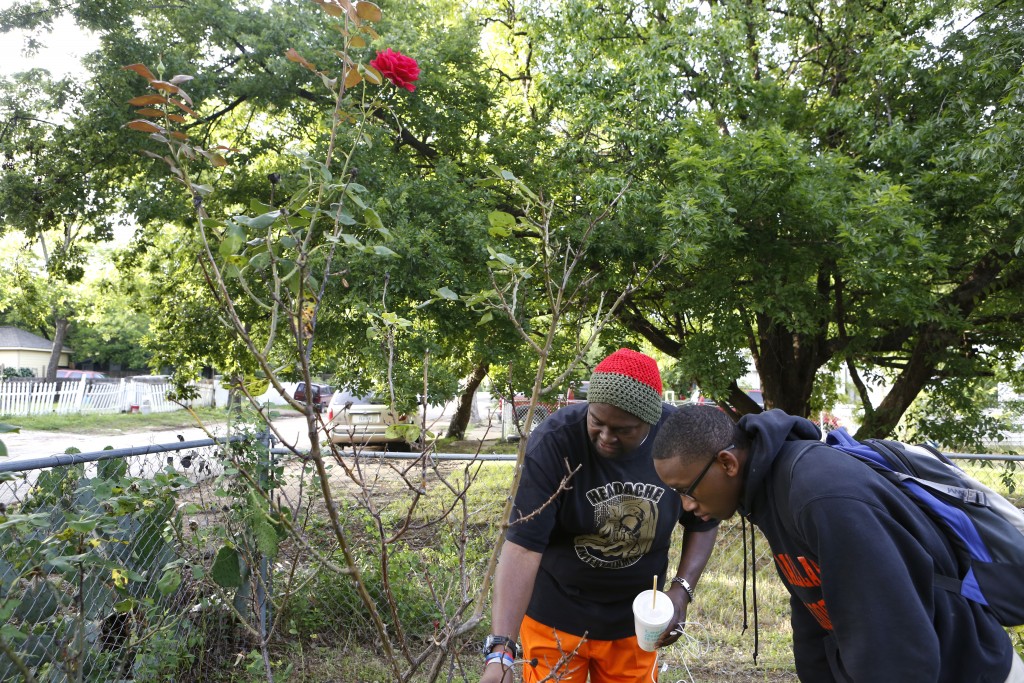 Charles 'CJ' Johnson instructs Desmond Davis on how to prune a rose bush at his home. Photo/Lara Solt